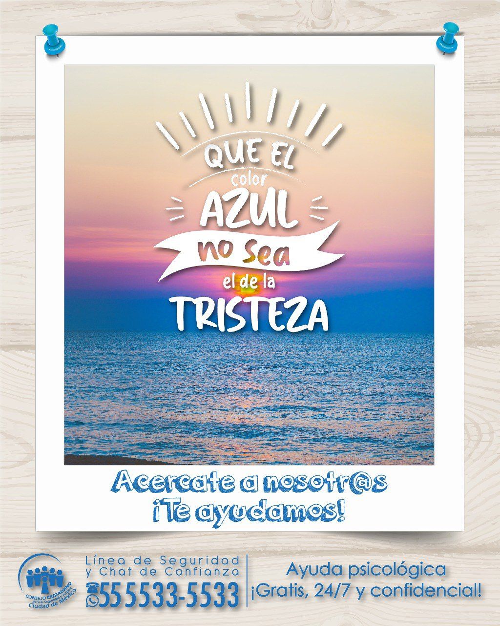 Descripción corta imagen